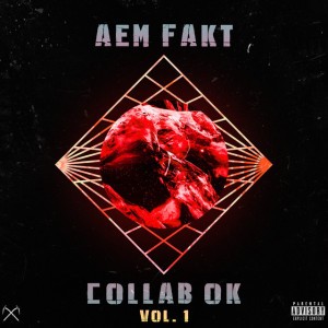 AEM FAKT