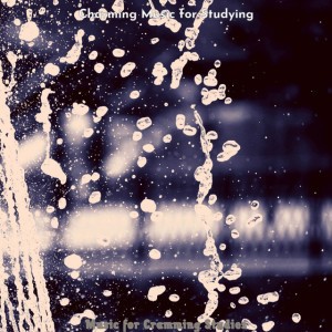 Charming Music for Studying