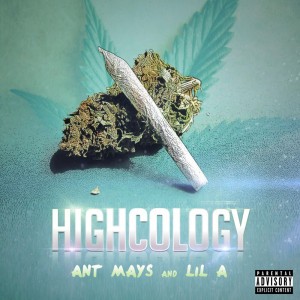 Ant Mays