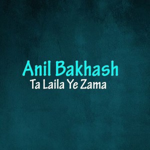 Anil Bakhash