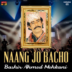 Bashir Ahmed Mehkani