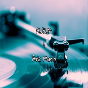 Arie mario