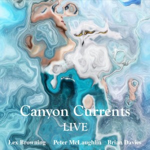 Canyon Currents