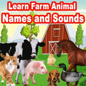 Animal Sounds