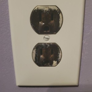 Capypossum