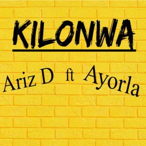 Ariz D