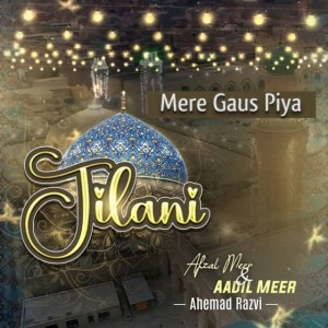 Afzal Meer