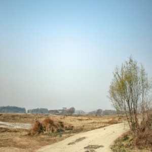 Callaghan