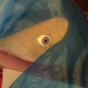 Creecher