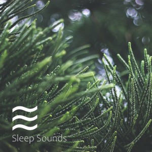 Children Soothing Rain Sounds