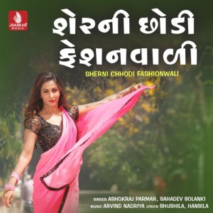 Ashokraj Parmar