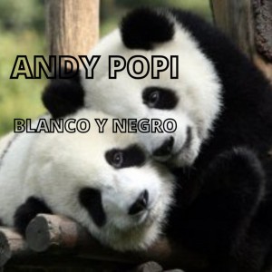 Andy Popi
