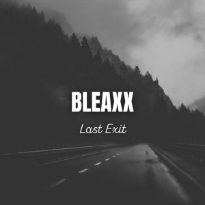 BleaxX