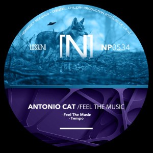Antonio Cat