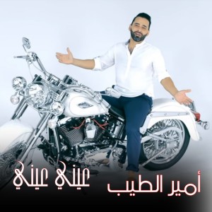Amir Eltayb