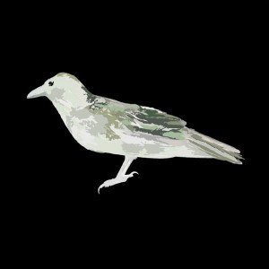 Green Crow Collective