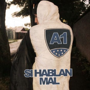 A1