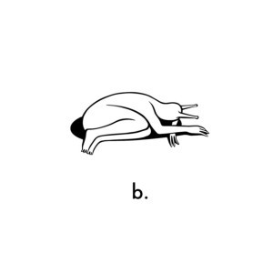 Bigudi