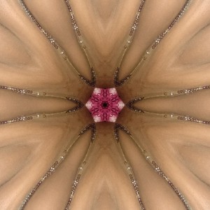 apiral beats
