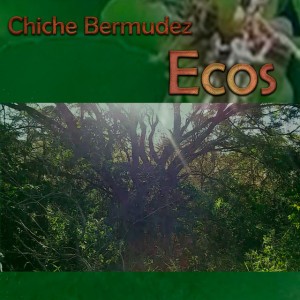 Chiche Bermudez