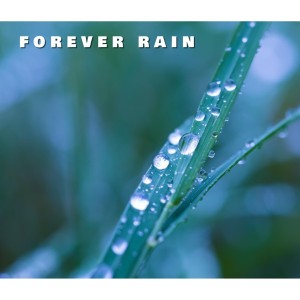 Beautiful Rainy Day