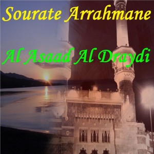 Al Asaad Al Draydi