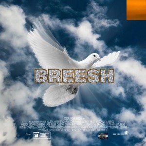 Breesh 3000