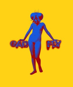 Gadfly