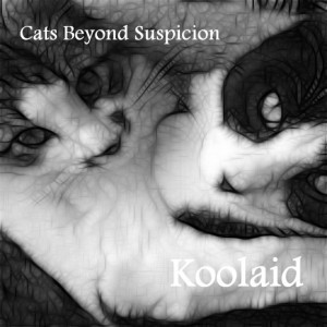 Cats Beyond Suspicion