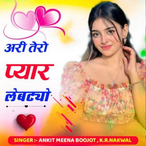 Ankit meena
