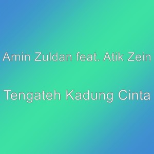 Amin Zuldan