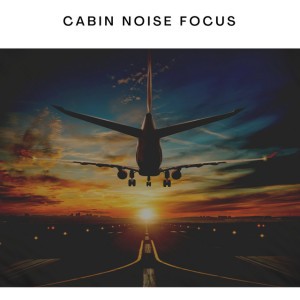 Cabin Back Noise