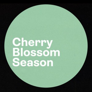 Cherry Blossom Season