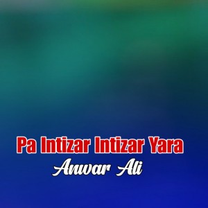 Anwar Ali