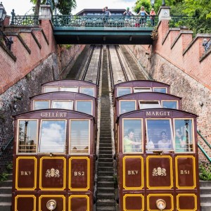 Buda's Pest