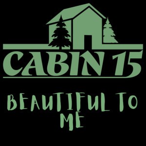 Cabin 15