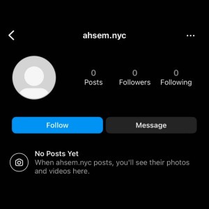 AHSEM