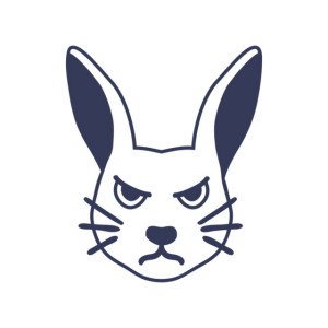 Slowed Bunny