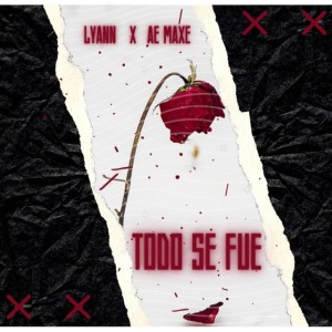 AE MAXE
