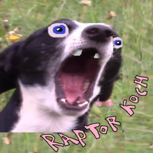 Raptor Koch
