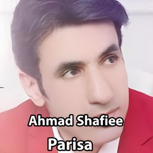 Ahmad Shafiee