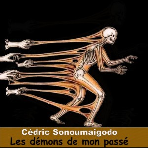 Cédric Sonoumaigodo