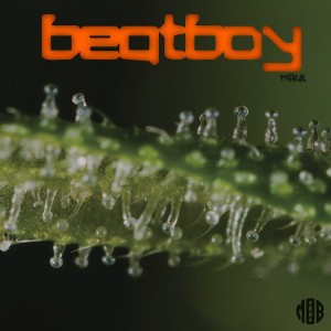 Beatboy MFKR