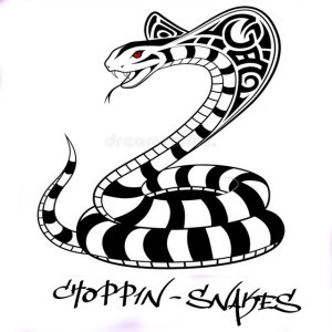 CHOPP1N