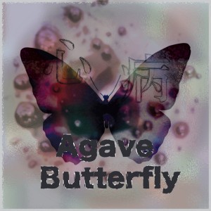 Agave Butterfly