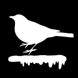 BirdOnDaBeat