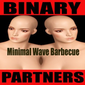 Binary Partners