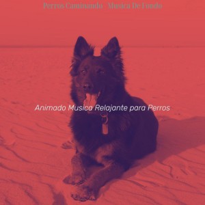 Animado Musica Relajante para Perros