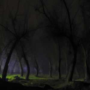 Cada Noche