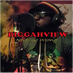 Biggahview